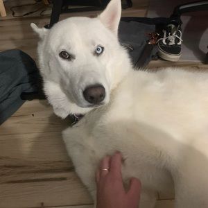 Meet your Posher, Delaney